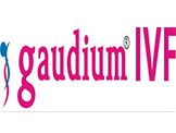 Gaudium IVF